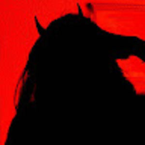 Meet your Posher, Lily